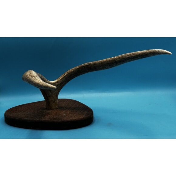 Rustic Mounted Deer Antler Display – Cabin Decor, Shed Antler on Wood Base - Picture 7 of 9